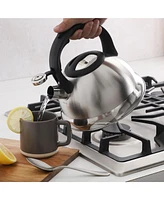 Mr. Coffee Hartbay Large 2.4 Quart Stainless Steel Whistling Tea Kettle