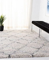 Safavieh Fontana Shag Fnt888f Rug Collection