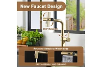 Casainc Single Handle Pull Out Kitchen Faucet