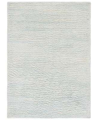 Safavieh Casablanca 702 CSB702M 3'x5' Area Rug