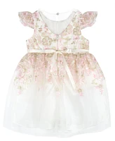 Rare Editions Baby Girls Floral Embroidered Mesh Party Dress