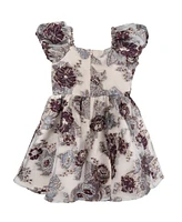 Rare Editions Toddler & Little Girls Burnout Organza Social Dress