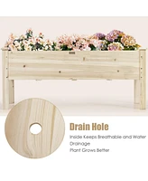 Raised Garden Bed Elevated Planter Box Wood for Vegetable Flower Herb