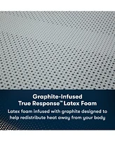 Serta iComfortPro Canterbury 15" Latex Foam Plush Mattress Set