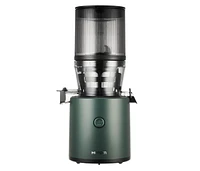 Hurom H320 Ultra Low Pulp Slow Juicer