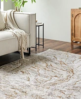 Livabliss Andorra Plus Arp-2300 7'10"x10' Area Rug