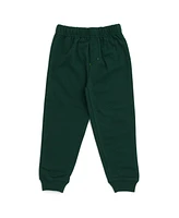 Teenage Mutant Ninja Turtles Fleece Sweatshirt and Pants Outfit Set Infant to Big Kid Sizes (12 Months