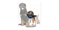Tuffy Tuffy- Jr Lobster, Stingray & Tiger Shark - Combo Pack. Durable Dog Toys