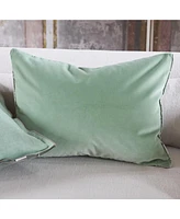 Designers Guild Cassia Eau De Nil Decorative Velvet Decorative Pillow