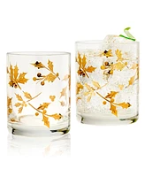 Qualia Glass Classic Double Old Fashion Glasses, Set of 2