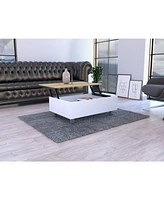 Depot E-shop Aran Lift Top Coffee Table, Storage Compartment