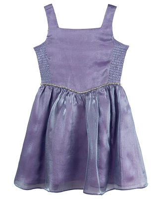 Rare Editions Big Girls Shimmer Organza Party Dress