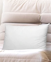 Cheer Collection 2-Pack Pillow Insert