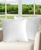 Cheer Collection 2-Pack Pillow Insert