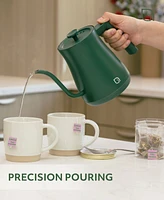 Willow Kitchen Digital Gooseneck Kettle with 5 Temperature Presets - Precision Heating Pouring for Perfect Brews