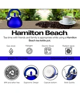 Hamilton Beach Tea Kettle Stainless Steel 3L Whistling with Soft Touch Handle, Stovetop Tea and Water Boilers, Teakettle for Kitchen - Blue