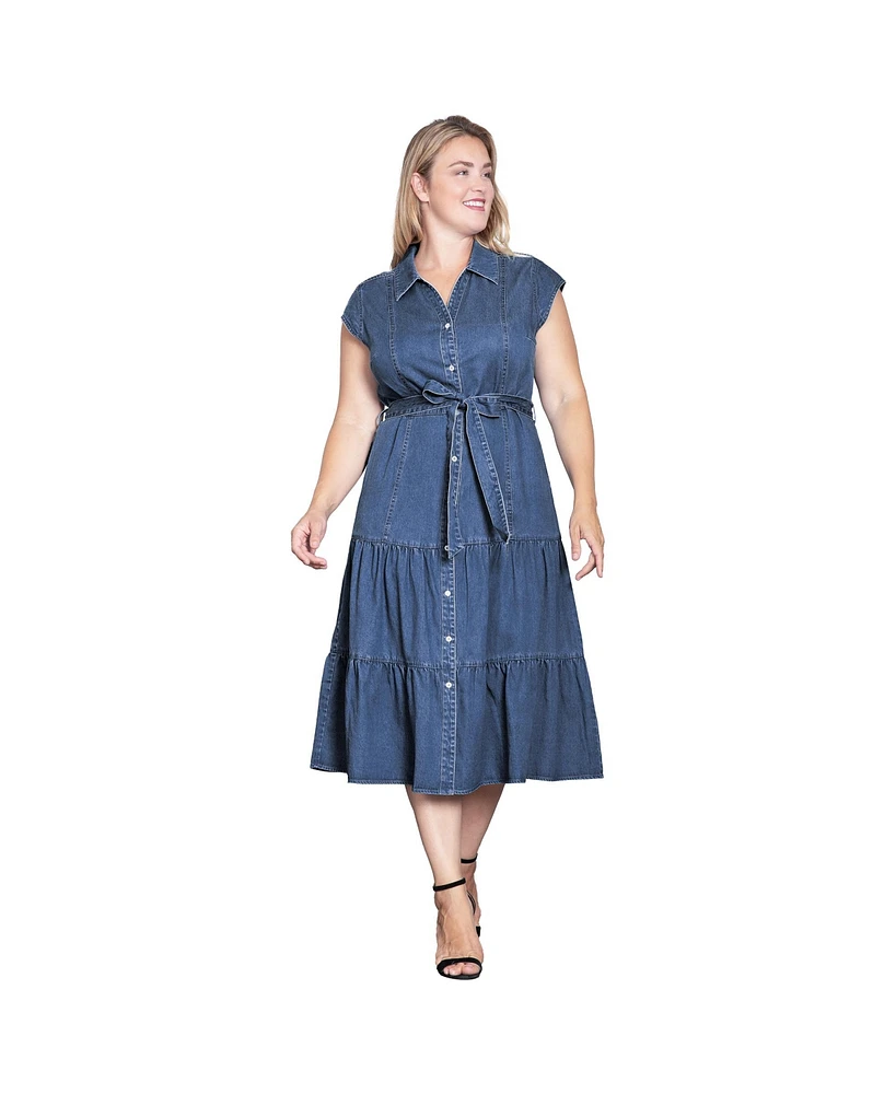 Standards & Practices Women's Tiered A-Line Tencel Midi Dress