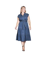 Standards & Practices Women's Tiered A-Line Tencel Midi Dress