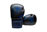 Amber Sports Invincible Fight Gear Standard Leather Hook and Loop Training Boxing Gloves