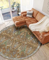 Dalyn Hatay Washable HY6 8'x8' Round Area Rug