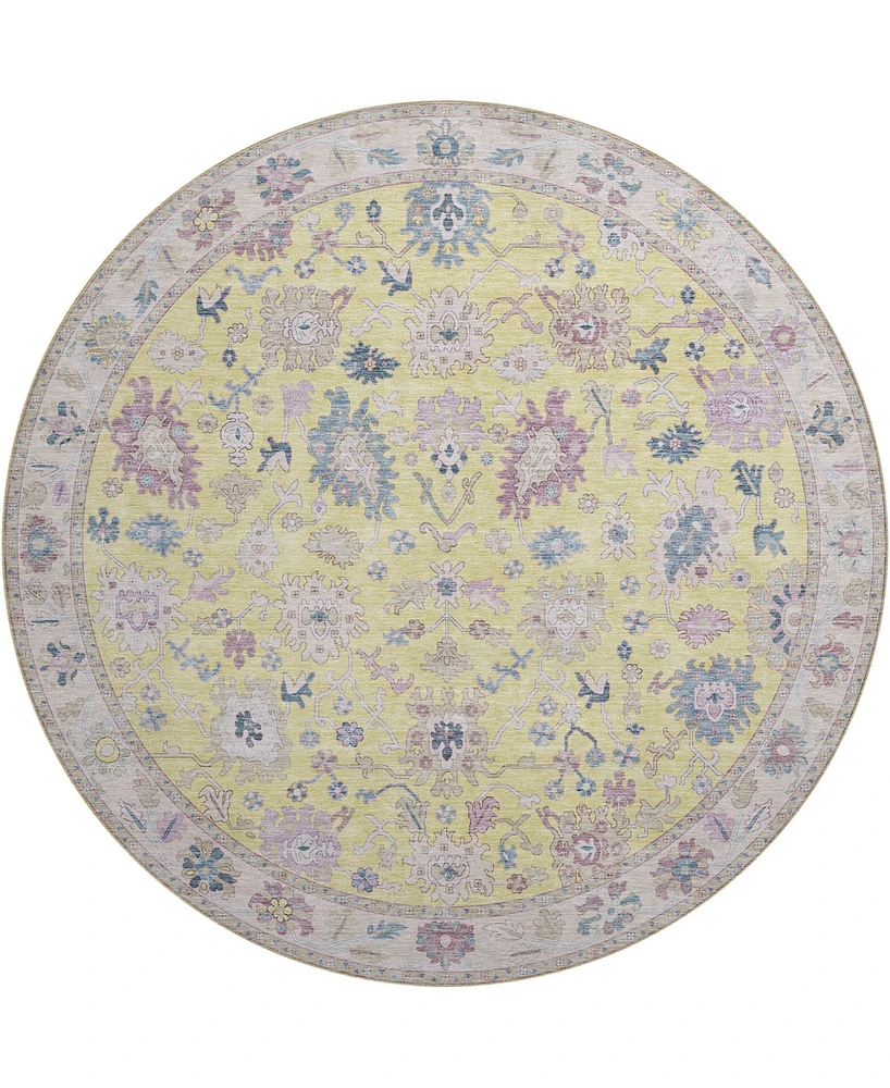 Dalyn Hatay Washable HY7 8'x8' Round Area Rug
