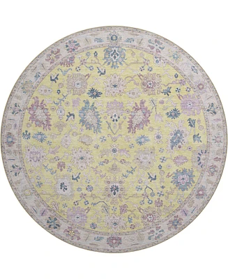 Dalyn Hatay Washable HY7 8'x8' Round Area Rug