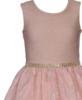 Bonnie Jean Little Girls Sparkle Knit to Feather Border Party Dress