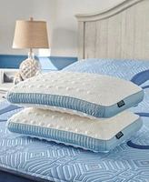 Stearns Foster Dual Comfort Latex Pillows