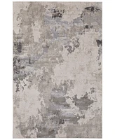 Feizy Prasad 3970F 8'x11' Area Rug