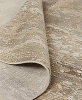 Feizy Parker 3701F 7'9"x10' Area Rug