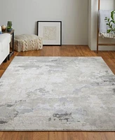 Feizy Prasad 3970f Rug Collection