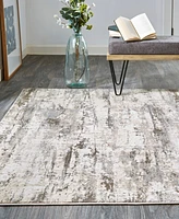 Feizy Parker 3719F 2'1"x3' Area Rug