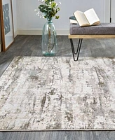 Feizy Parker 3719f Rug Collection