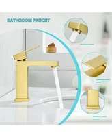 Flynama Single-Hole Single-handle Bathroom Faucet