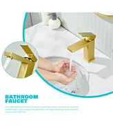 Flynama Single-Hole Single-handle Bathroom Faucet