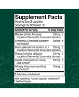 Host Defense MycoBotanicals Capsules - Herbal Supplement with Chaga, Reishi & Maitake Mushrooms - Mushroom Mycelium Supplement for Healthy Balance