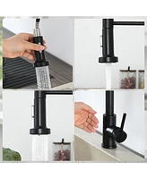 Flynama Single Hole Single-Handle Pull-Down Sprayer Kitchen Faucet with Touch Sensor in Matte Black