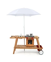 Hongge Wooden Play Cart for Toddlers Over 3 Years Old with Sun Proof Umbrella