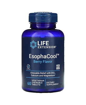 Life Extension EsophaCool Berry