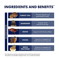 Host Defense MycoShield Throat Spray - Immune Health Support Dietary Mushroom Supplement with Chaga, Reishi