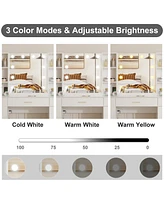 gaomon Led Lighted Vanity Desk With Mirror - Makeup Vanity With Adjustable Brightness, Metal Drawers, And Open Shelves