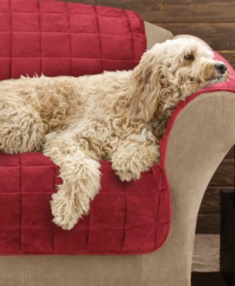 Macy's Sure Fit Velvet Deluxe Pet Slipcover Collection With