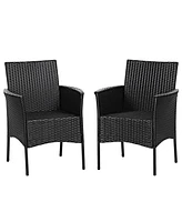 Gouun 2 Pieces Patio Wicker Chairs with Cozy Seat Cushions