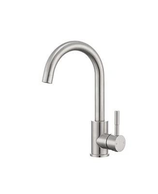 Flynama Single Handle Surface-Mounted Kitchen Faucet