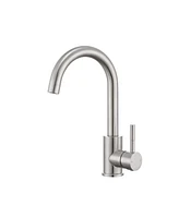 Flynama Single Handle Surface-Mounted Kitchen Faucet