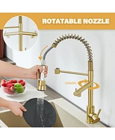 Flynama Spring Double Handles Deck Mount Pull Out Sprayer Kitchen Faucet with Clean Water Outlet