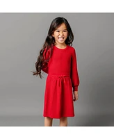 Hope & Henry Little Girls Organic Long Sleeve Balloon Sweater Dress