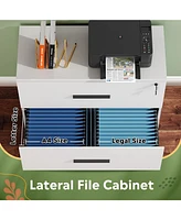 2-Drawer Wood Lateral File Cabinet with Lock for Home Office, White