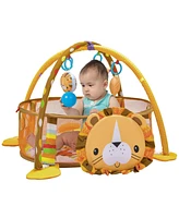 Hongge 4-in-1 Baby Play Gym with Soft Padding Mat and Arch Design
