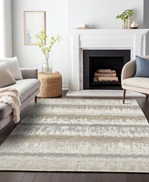 Addison Chantille Machine Washable ACN1013 3'x5' Area Rug
